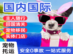 襄阳空运国际宠物托运 【国